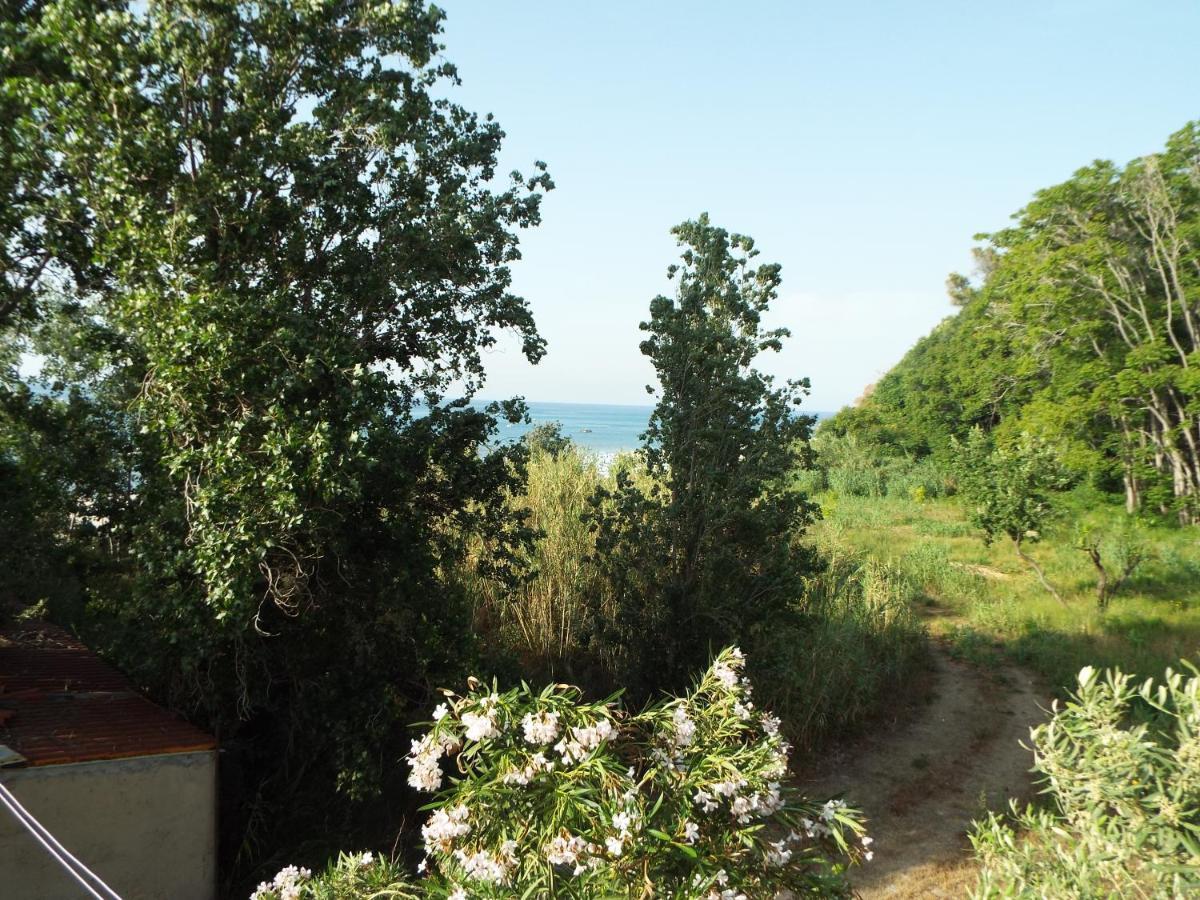 La Grazia Aparthotel Parghelia Bagian luar foto